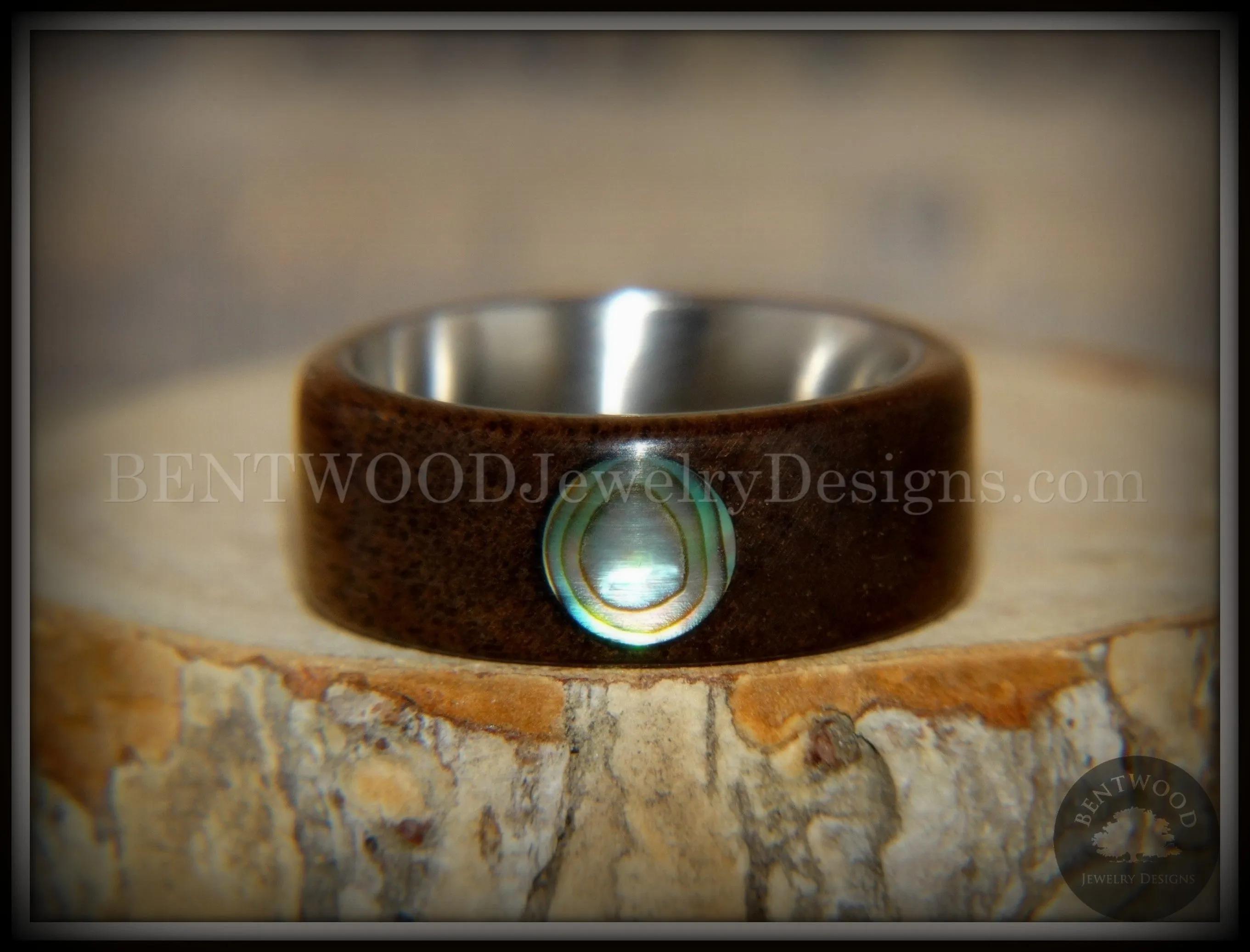 Bentwood Ring - Sea Opal Walnut with Abalone Paua Shell Inlay on Comfort Fit Surgical Steel Core