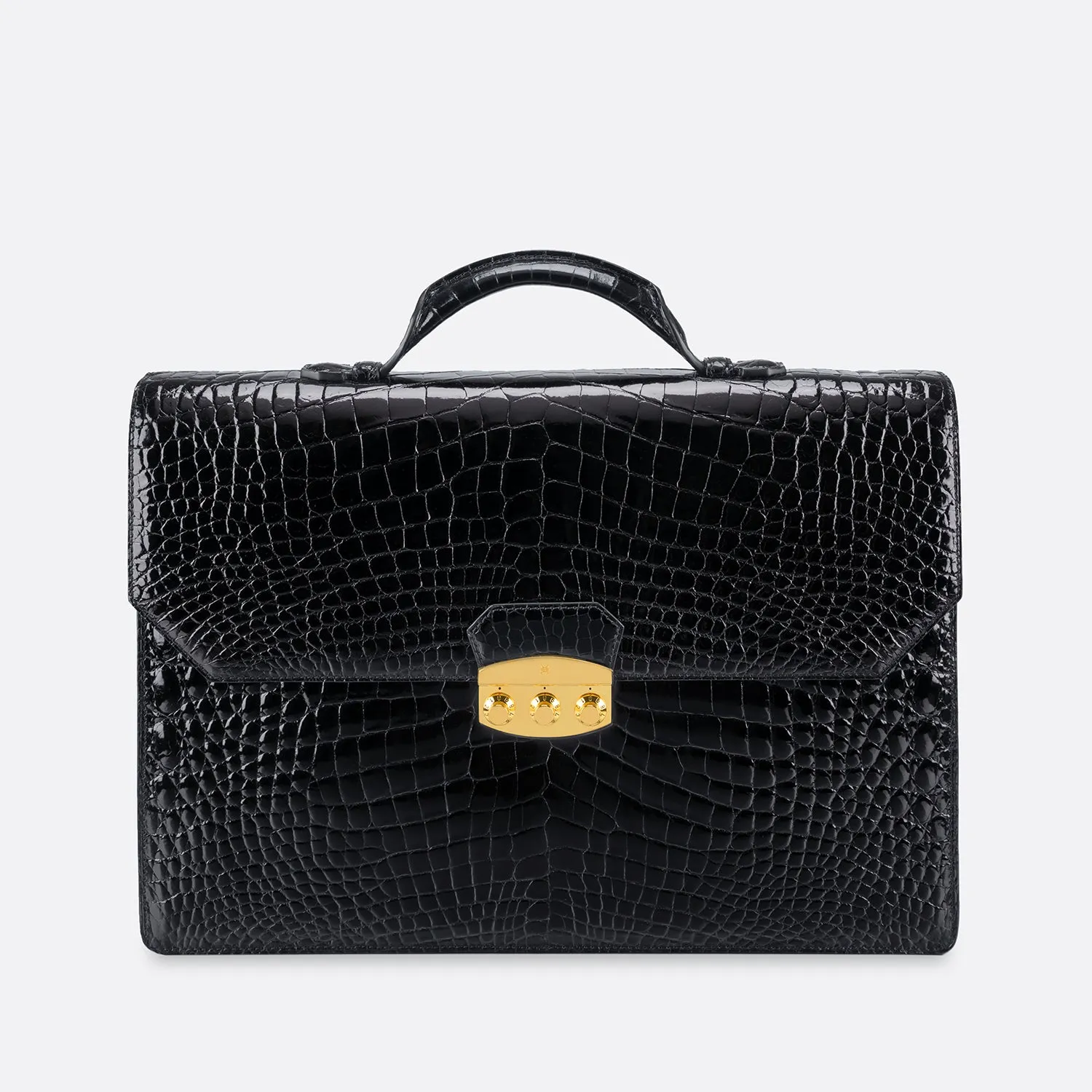 DOCUMENT BRIEFCASE