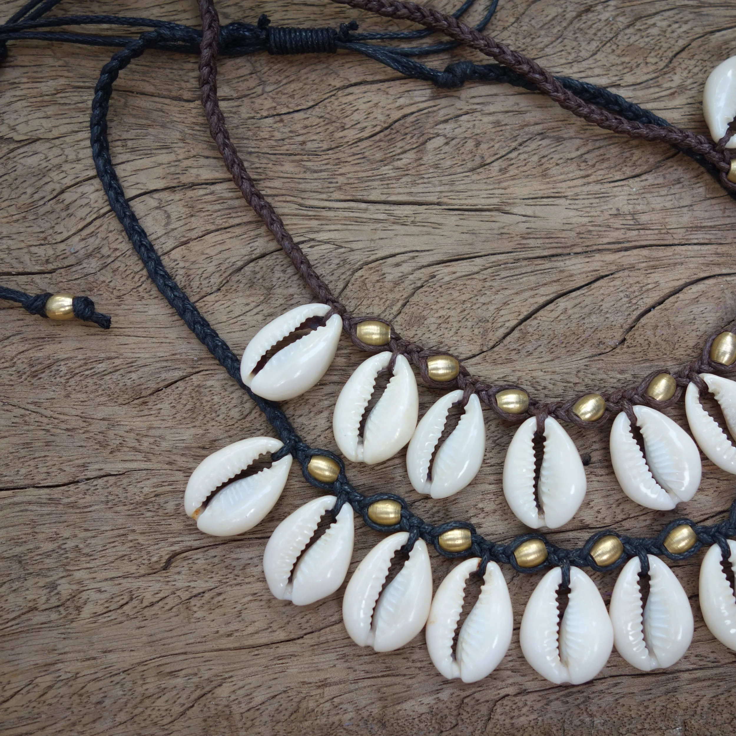 Dunes Shell Choker Necklace