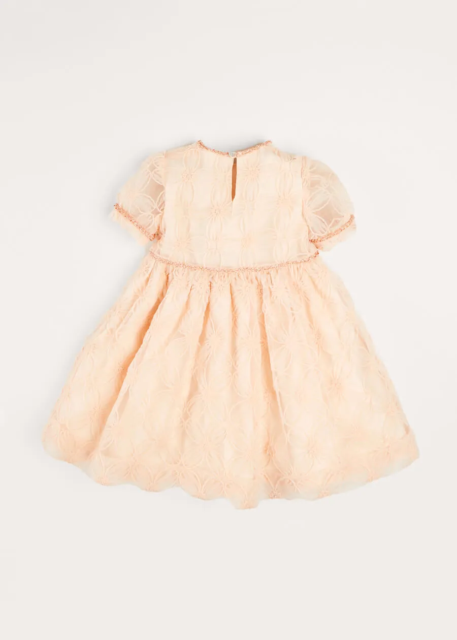 Floral Detail Party Dress In Pink (2-10yrs)