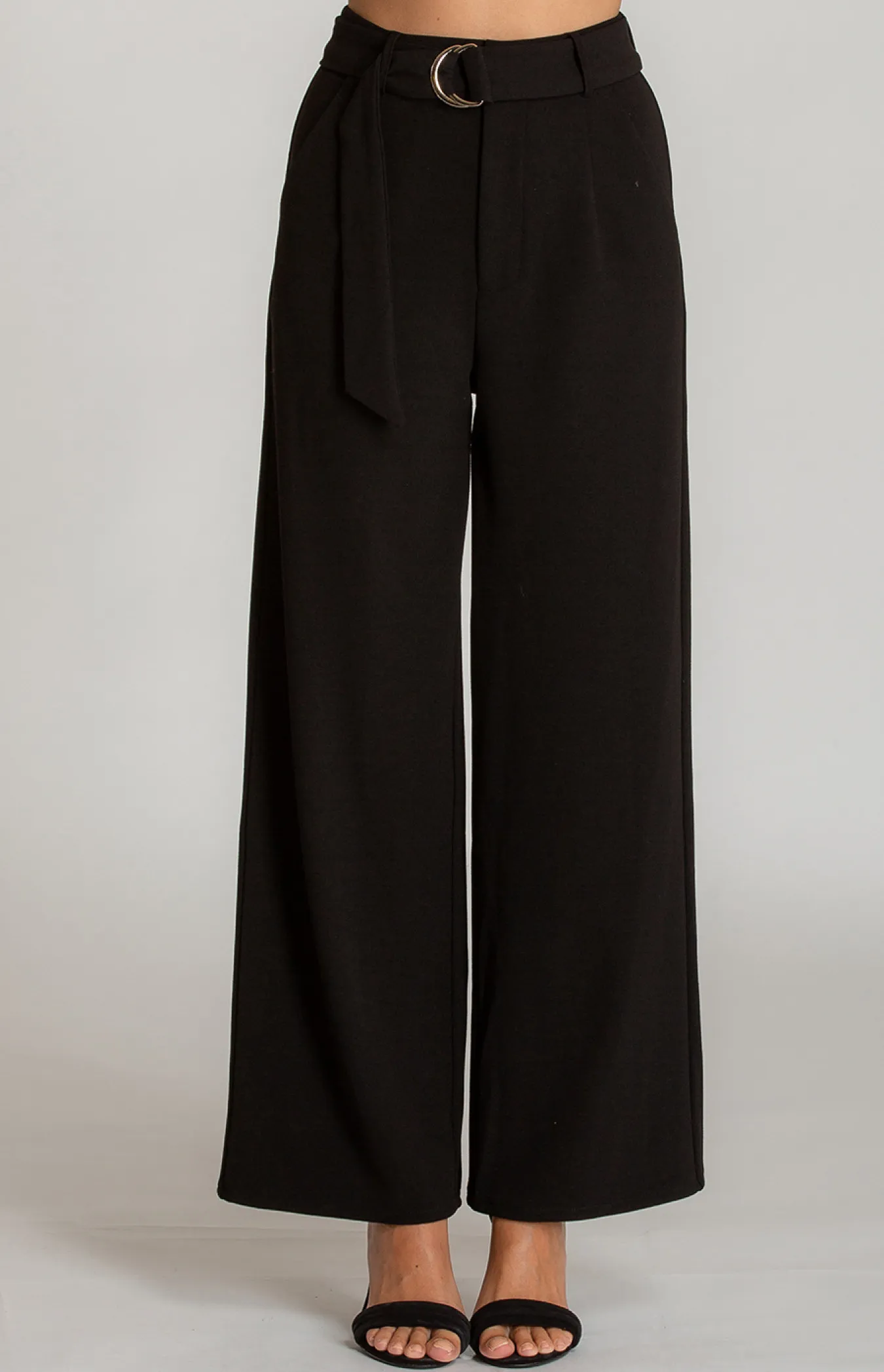 High Waist Dressy Wide Leg Pants (AP1A) 