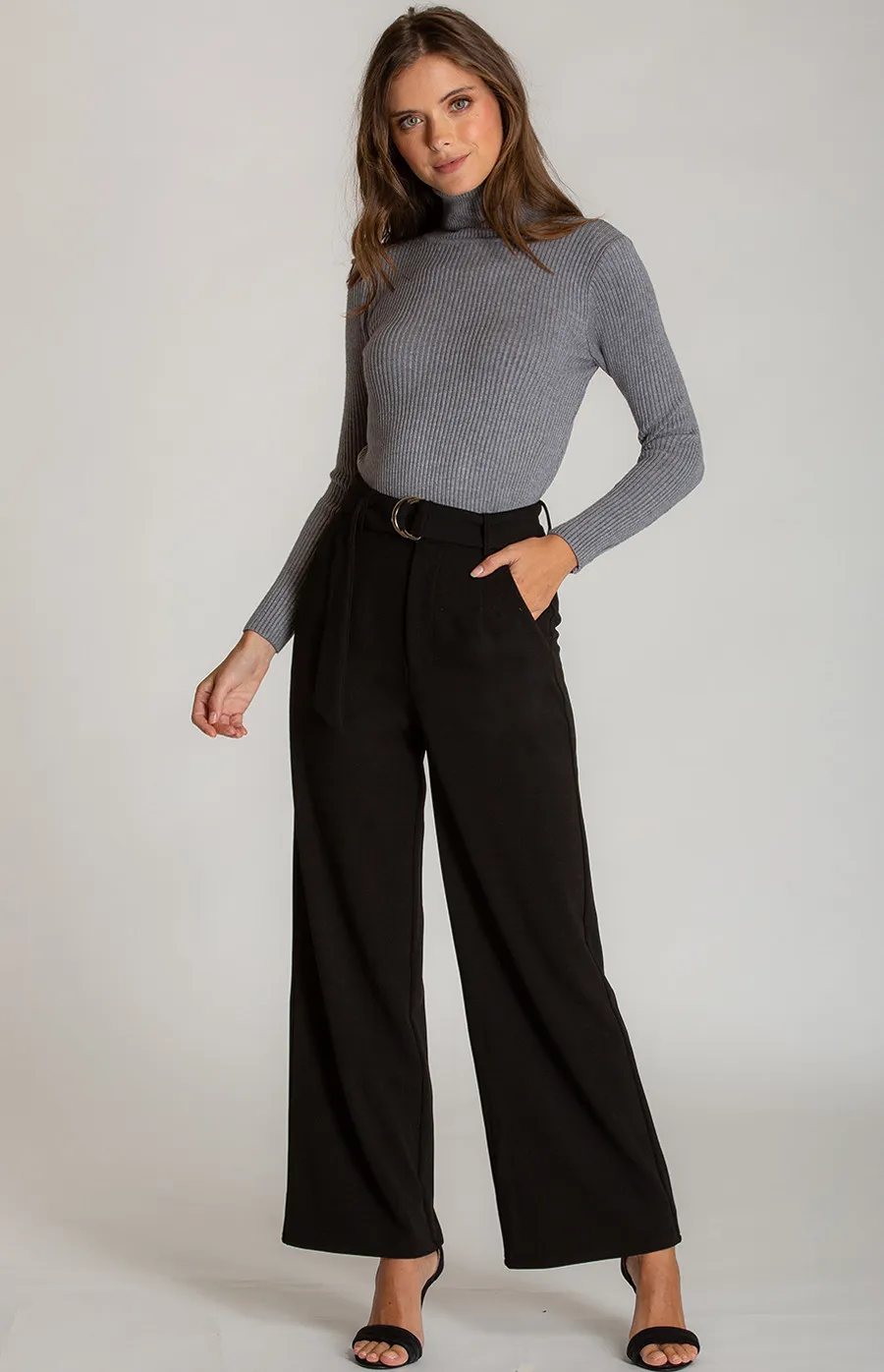 High Waist Dressy Wide Leg Pants (AP1A) 