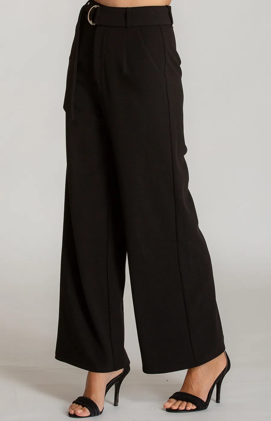 High Waist Dressy Wide Leg Pants (AP1A) 