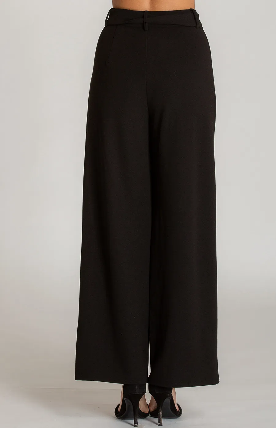 High Waist Dressy Wide Leg Pants (AP1A) 