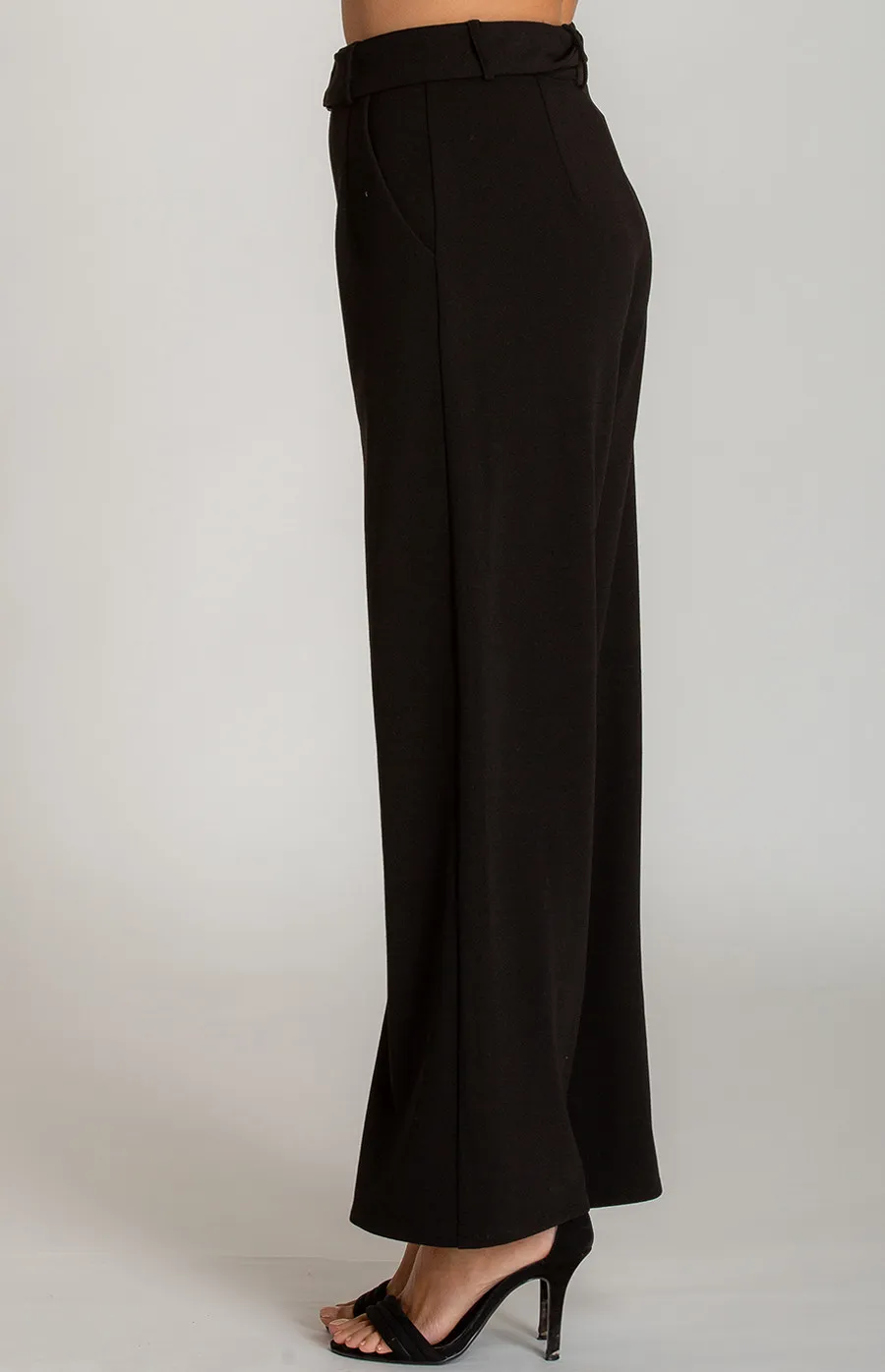 High Waist Dressy Wide Leg Pants (AP1A) 