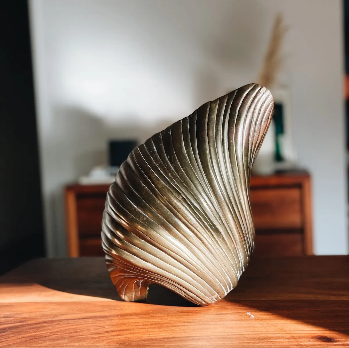 Large Shell Sculpture