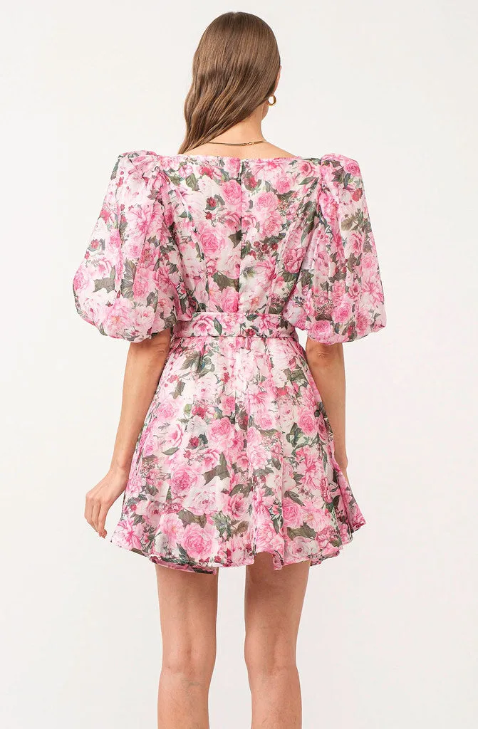 OLIVIA BELTED DRESS